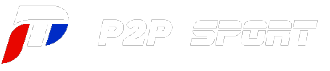 logo p2p small